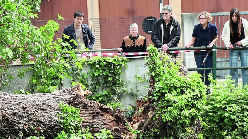 I residenti osservano quel che rimane del pioppo schiantato