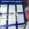 Annunci di lavoro. Nella Marca difficile l'incontro tra domanda e offerta
