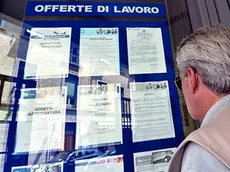 Annunci di lavoro. Nella Marca difficile l'incontro tra domanda e offerta