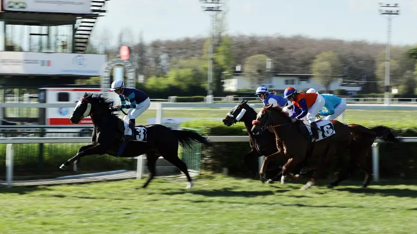 Ippodromo di Treviso