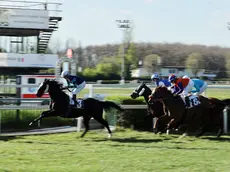 Ippodromo di Treviso