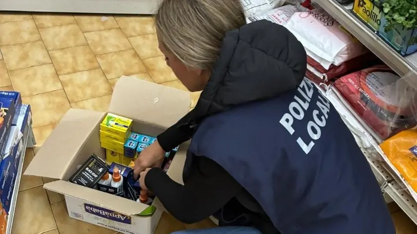 Controlli della polizia locale