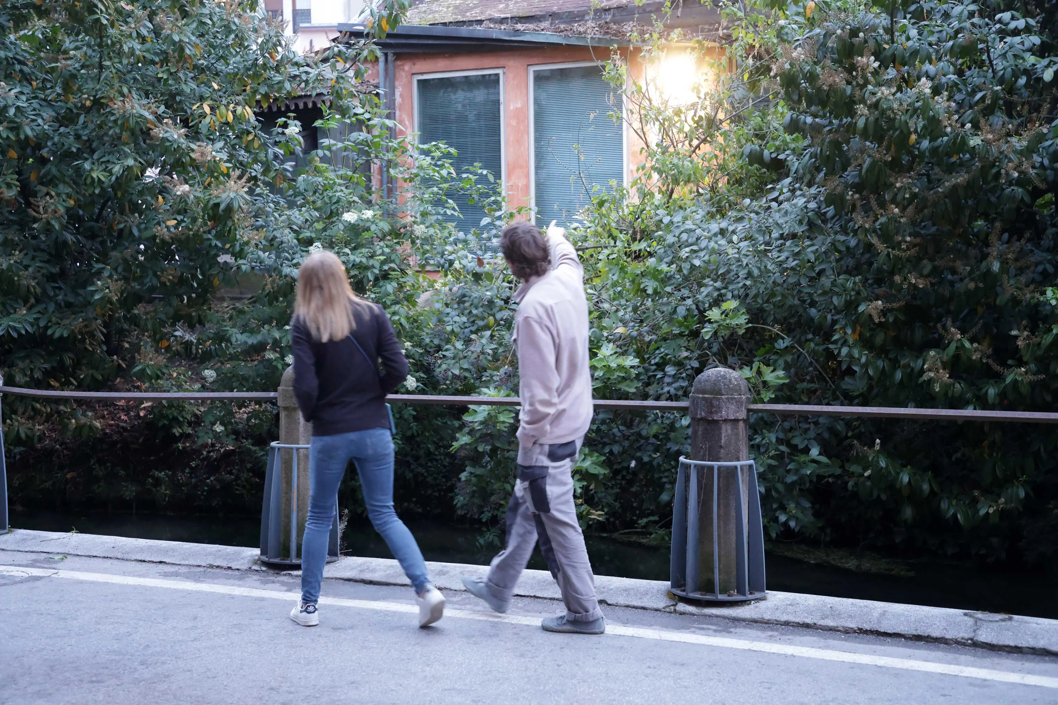 Il crollo dell'albero