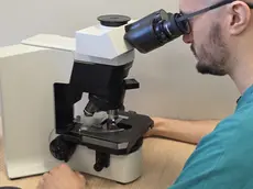 Un operatore nel laboratorio di Ematologia