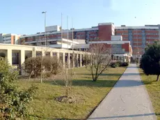 L'ospedale di Rovigo