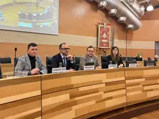 Provincia di Treviso, tesoretto da 15 milioni: fondi per scuole, strade e opere pubbliche