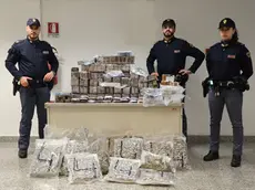 La droga sequestrata