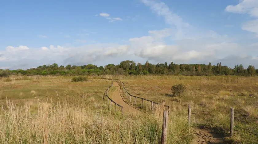 Uno scorcio di un sentiero a Punta Sabbioni