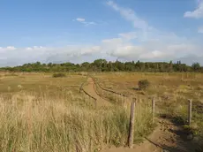 Uno scorcio di un sentiero a Punta Sabbioni