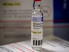 Una fialetta di Fentanyl, farmaco ospedaliero la cui diffusione come sostanza stupefacente sta interessando anche la Marca