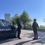 Carabinieri di Vedelago