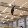 Alice D'Amato
