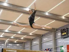 Alice D'Amato