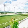L’ippodromo del Sant’Artemio