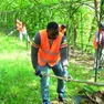 Un gruppo di addetti impegnati nella pulizia del territorio
