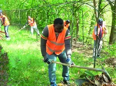 Un gruppo di addetti impegnati nella pulizia del territorio