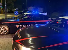 Due gazzelle dei carabinieri
