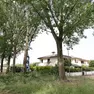 Le operazioni di abbattimento in via Contarini