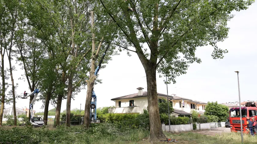Le operazioni di abbattimento in via Contarini