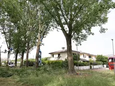 Le operazioni di abbattimento in via Contarini