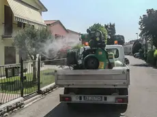 Disinfestazione intensiva contro la West Nile