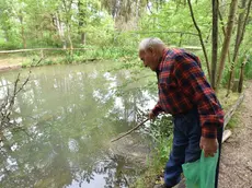 Una Trachemys scripta nel laghetto dell’Isola dei Morti e il pensionato Toni Tonetto