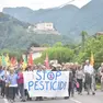 La marcia Stop pesticidi sulle colline del Prosecco