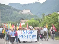 La marcia Stop pesticidi sulle colline del Prosecco