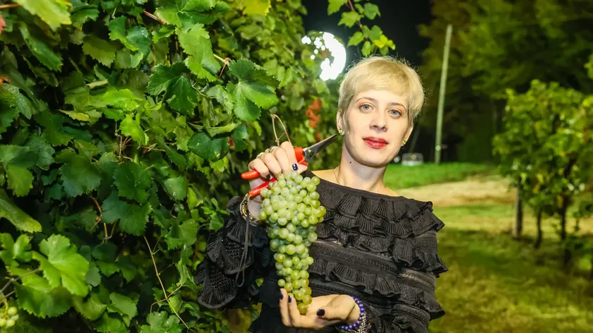 Sarah Dei Tos, della Vigna di Sarah, vittima di un furto