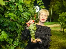 Sarah Dei Tos, della Vigna di Sarah, vittima di un furto