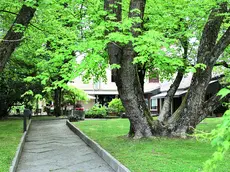 La villa assaltata dai rapinatori a Selvana, quartiere di Treviso