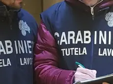 Ispezioni dei carabinieri del Nil nelle aziende della provincia di Treviso