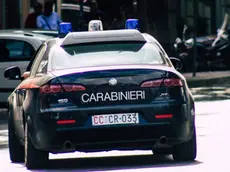 I carabinieri di Mogliano hanno denunciato un ventinovenne di Preganziol per furti