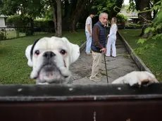 Il cane al cancello della villa con Ezio Colombo e la figlia Olimpia
