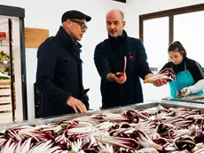 L’attore americano alla scoperta dei segreti del radicchio