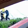 Un frame del video dell'omicidio