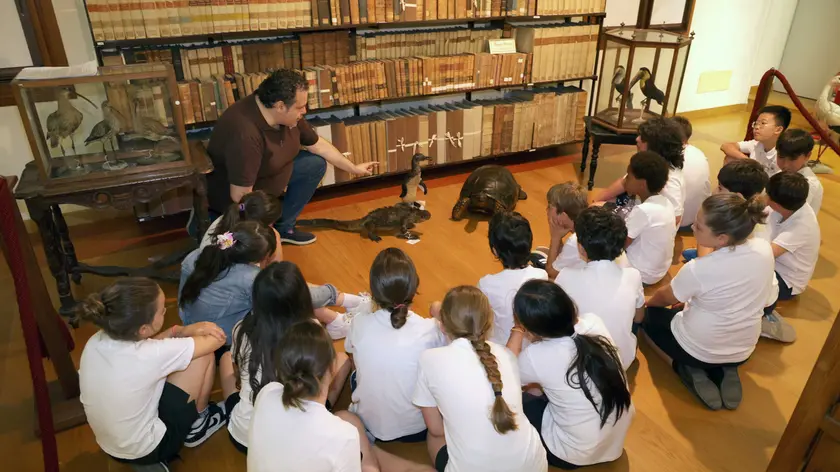 Lo stupore e la meraviglia dei bambini davanti all’allestimento di parte della Collezione Scarpa al seminario vescovile di Treviso