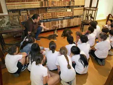 Lo stupore e la meraviglia dei bambini davanti all’allestimento di parte della Collezione Scarpa al seminario vescovile di Treviso