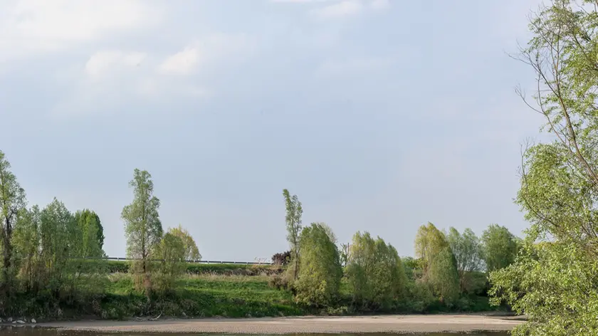 Livelli acqua al record negativo sul fiume adige