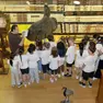 Scolaresca in visita alla collezione Scarpa