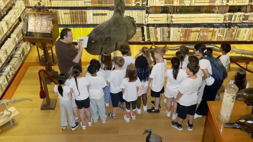 Scolaresca in visita alla collezione Scarpa