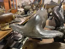La Scarpa a Treviso