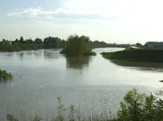 Basso Livenza