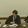 Il presidente Stefani durante l'audizione parlamentare