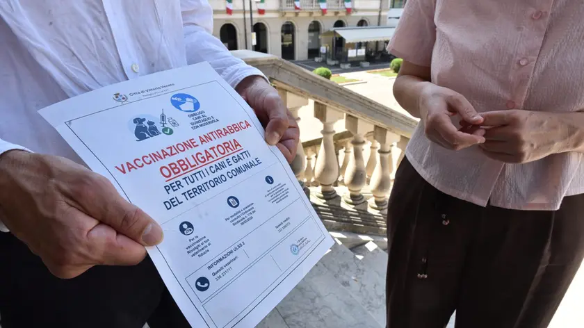 A Vittorio Veneto maxi vaccinazione contro la rabbia per cani e gatti