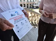 A Vittorio Veneto maxi vaccinazione contro la rabbia per cani e gatti