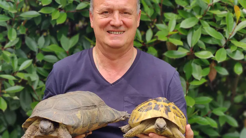 L'allevatore di tartarughe Renato Gobbetto