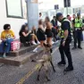 Controlli della polizia locale di sabato in centro a Treviso
