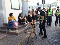 Controlli della polizia locale di sabato in centro a Treviso
