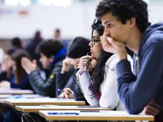 Università di Padova, laureati più occupati della media italiana: l’84,2% trova lavoro in un anno